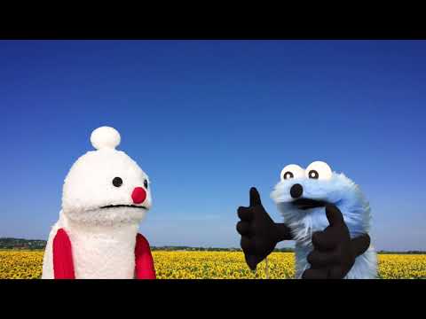 YouTube Video Thumbnail