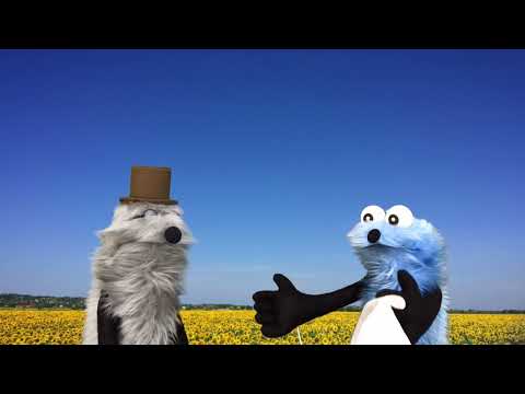 YouTube Video Thumbnail